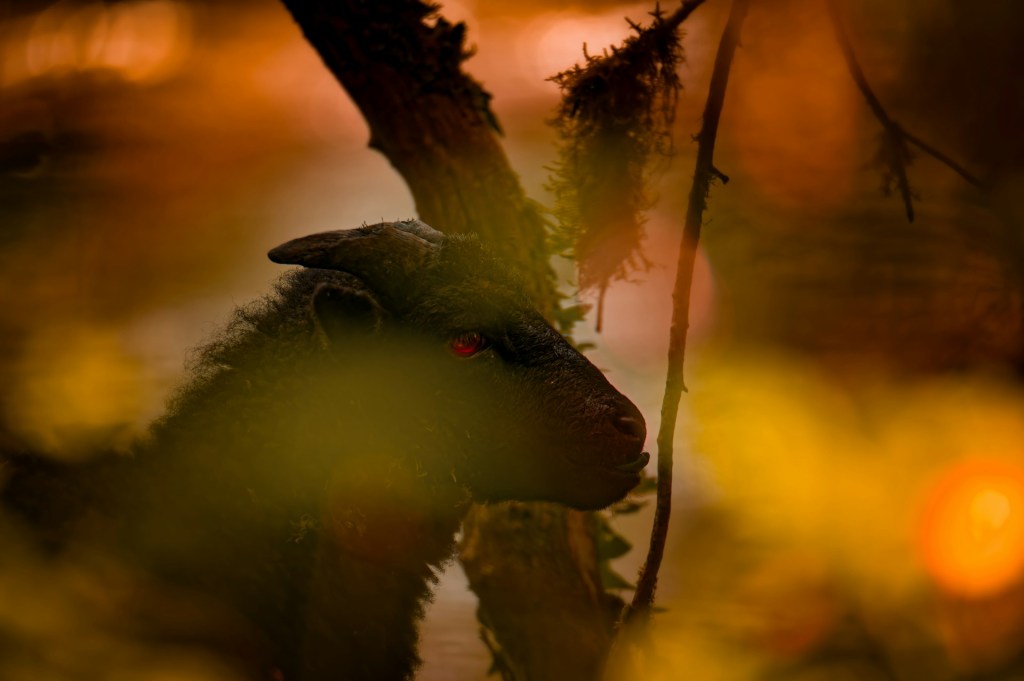 It’s dark and hell is&nbsp;hot